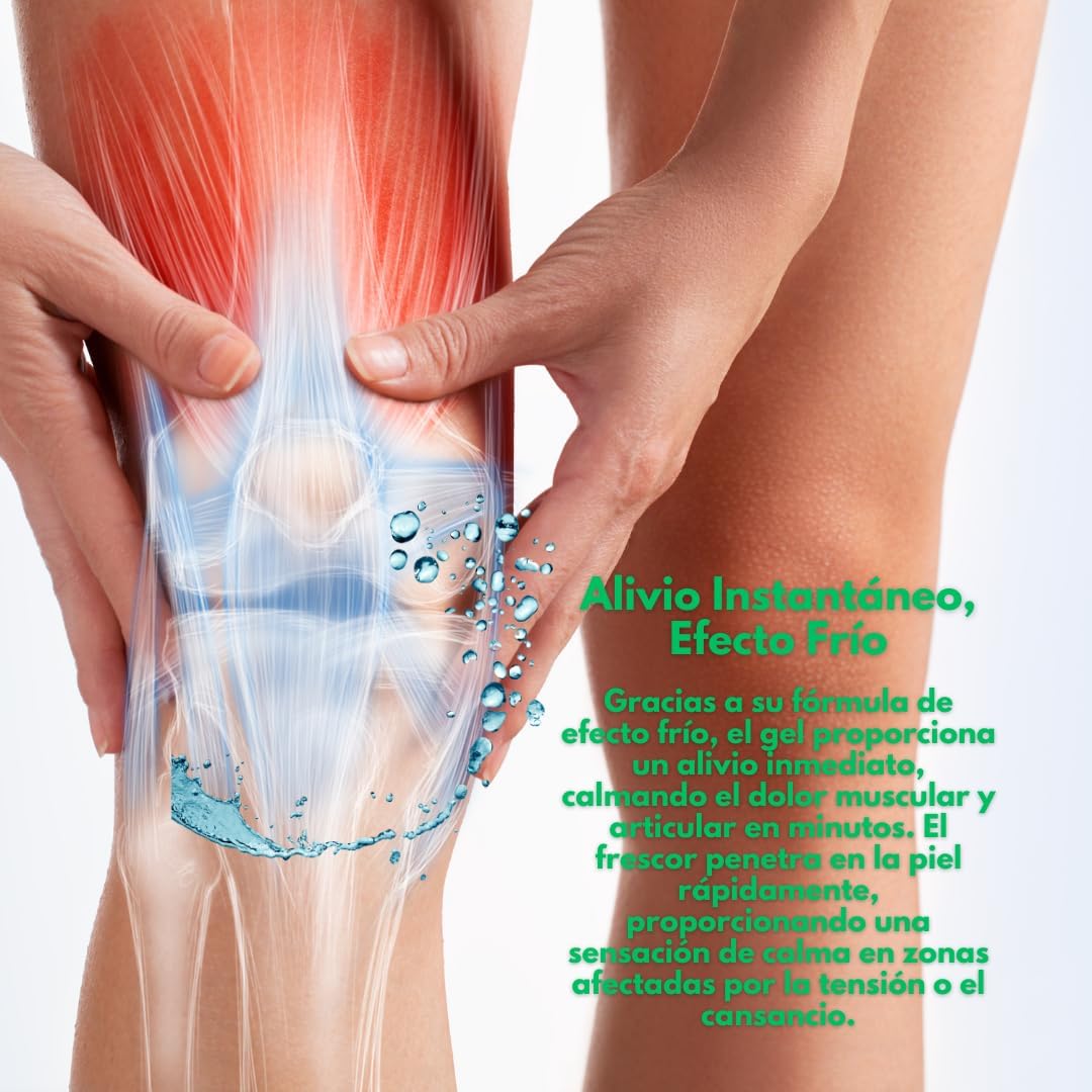 Bálsamo de Caballo Efecto Frio - Crema dolores Musculares y Articulaciones - Gel Árnica de Kräuterhof - 500 ml